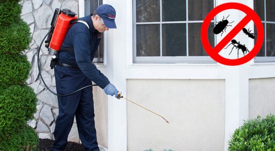 Burdur Karınca İlaçlama böcek ilaçlama ve haşere kontrolü — ilaclama-tr.com